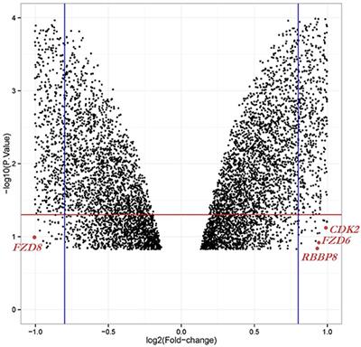 Integrative Bioinformatics Approaches to Map Potential Novel Genes and Pathways Involved in Ovarian Cancer